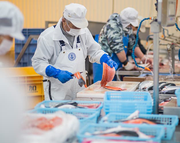 đơn hàng chế biến thủy sản