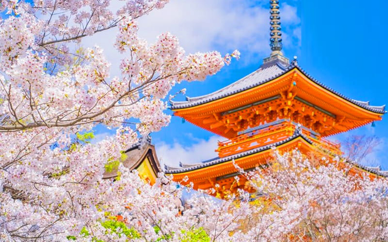 Nắm vững thủ tục xuất khẩu lao động Nhật Bản