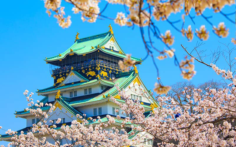 okayama-nhat-ban-tuyen-che-bien-thuy-san